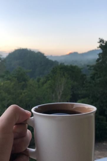 jungle coffee